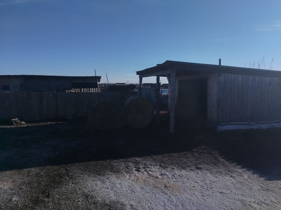 Продам дом  с. Шаховском