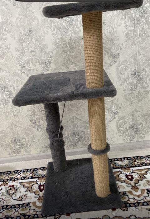 Когтиточка в отличном состоянии