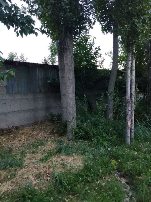 Теракларимиз. бор, сотиладиган