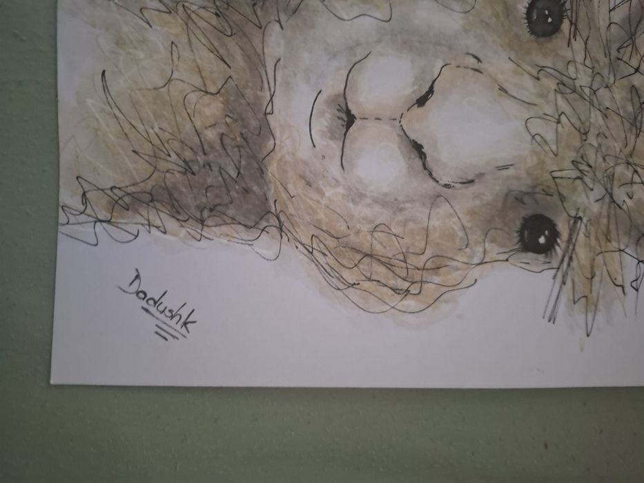 Pictura Alpaca, semnata Dadushk