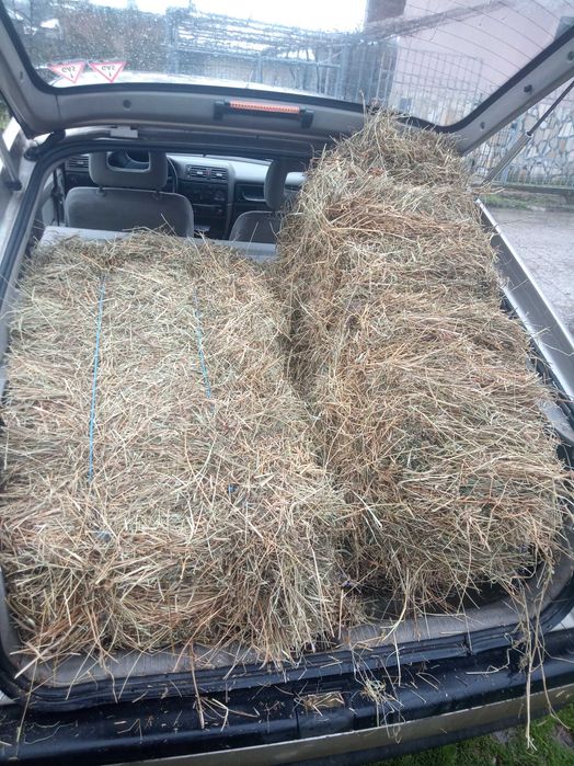 Малки бали сено 2025