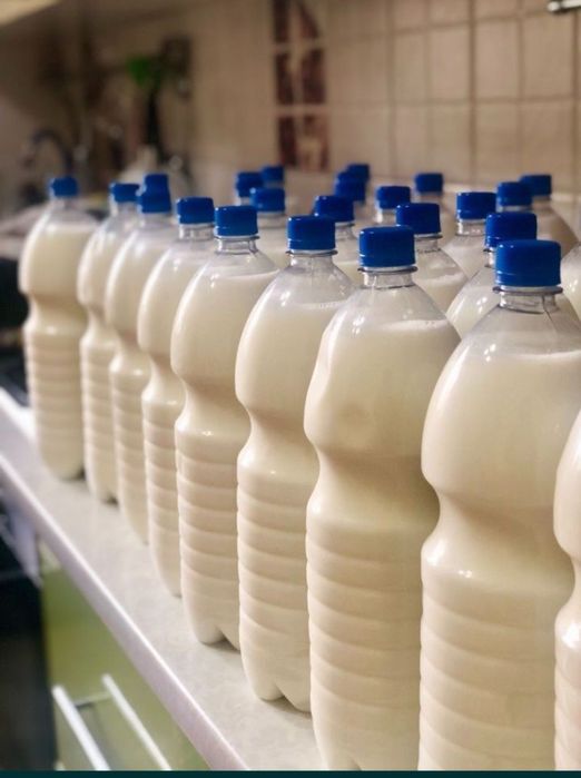 Қымыз оптом розницу