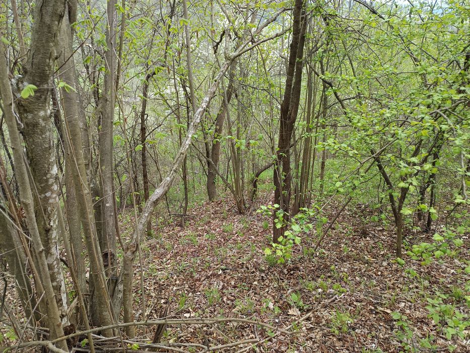 Vând teren extravilan 3700 m2