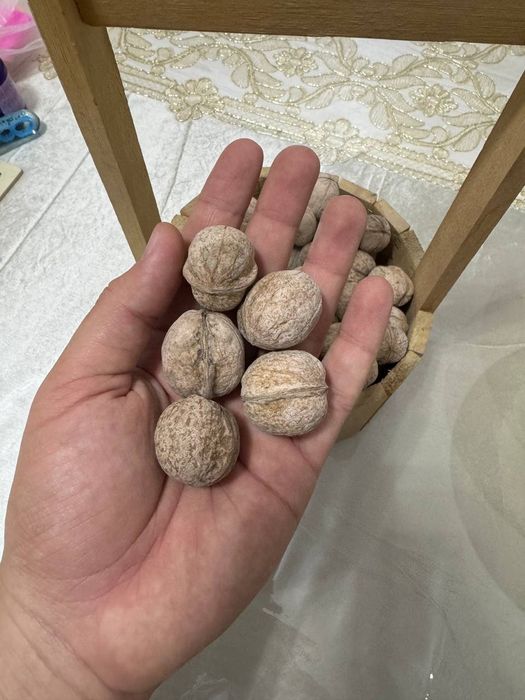 Грецкий орех продается