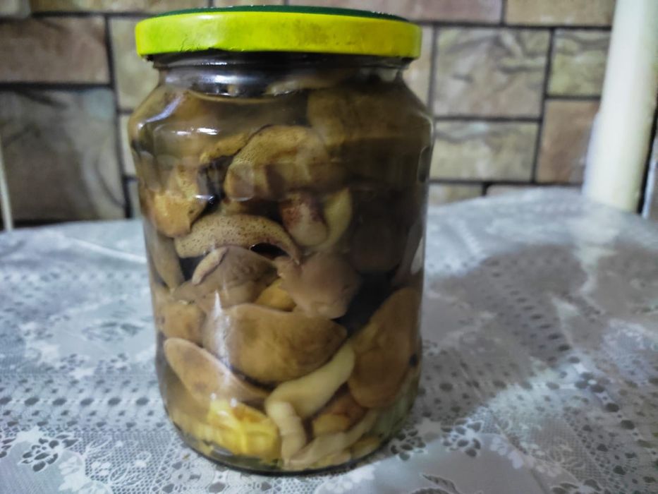 Продаю грибы Маринованные