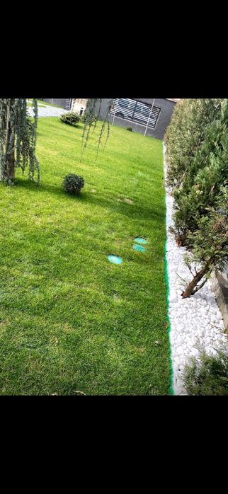 Cosesc iarbă mare, curăț curți și defrișez terenuri – judetul Arges și împrejurimi.   Motocoasă puternică, drujbă, autoutilitară pentru transport.