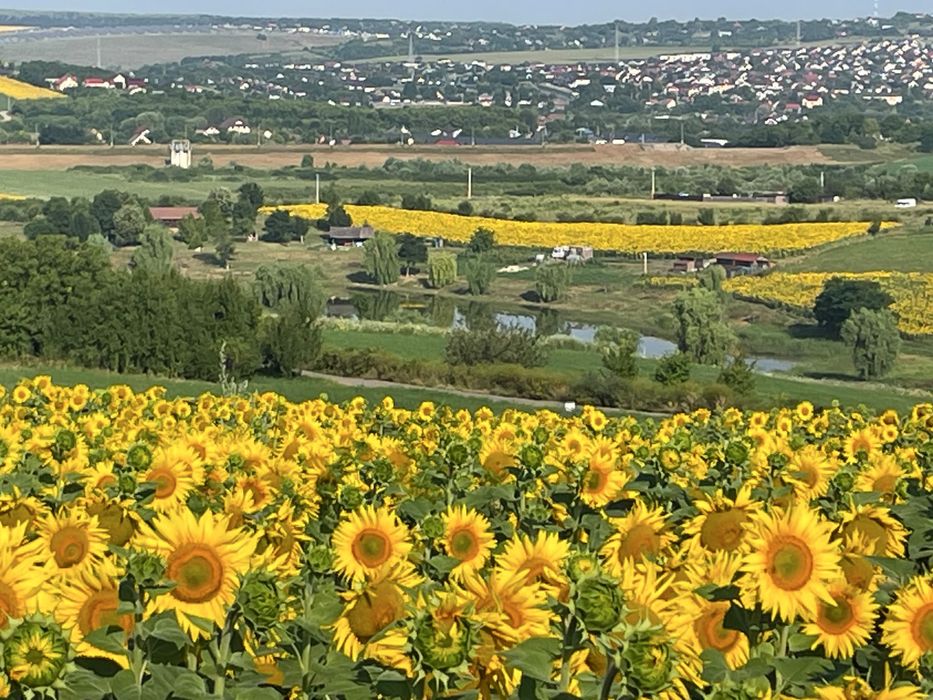 Teren intravilan ,Barnova ,Iași, 834 mp, priveliste panoramica deosebita,langa padure!