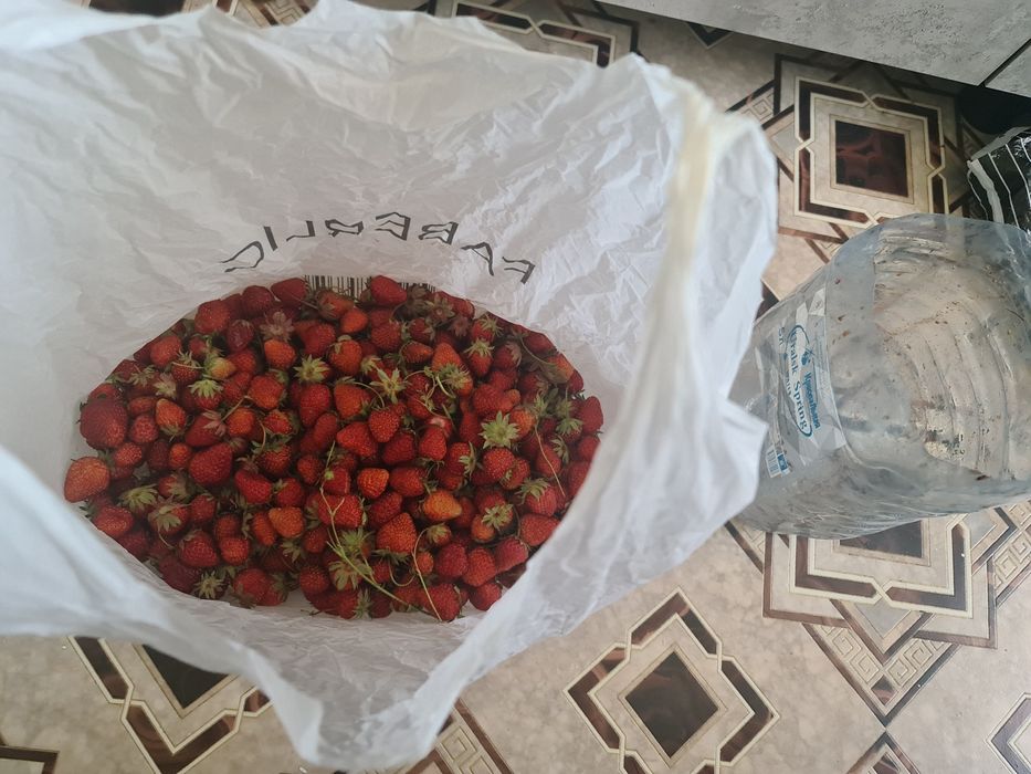Продам клубнику от 1-20литр