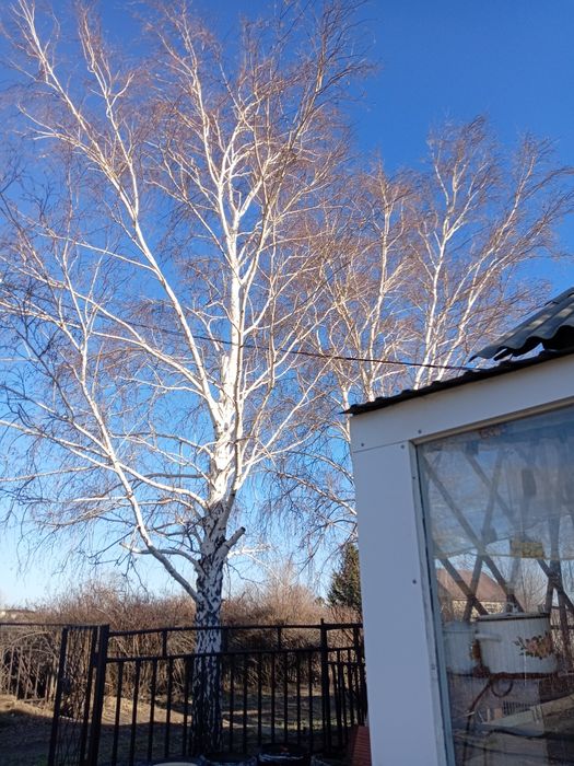 Продам дачу Союз, улица 17, дача 65