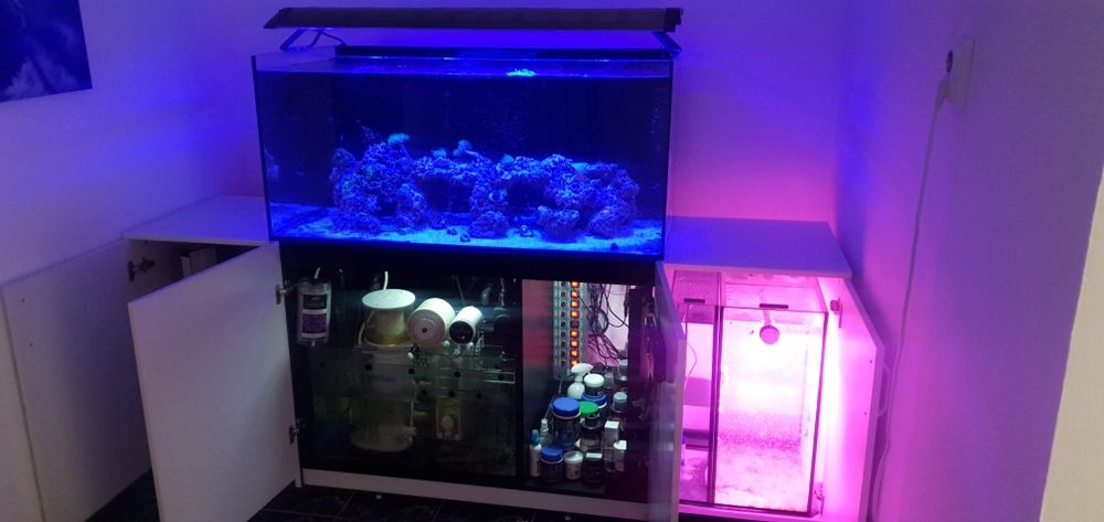 Acvariu marin Red Sea 425 XL