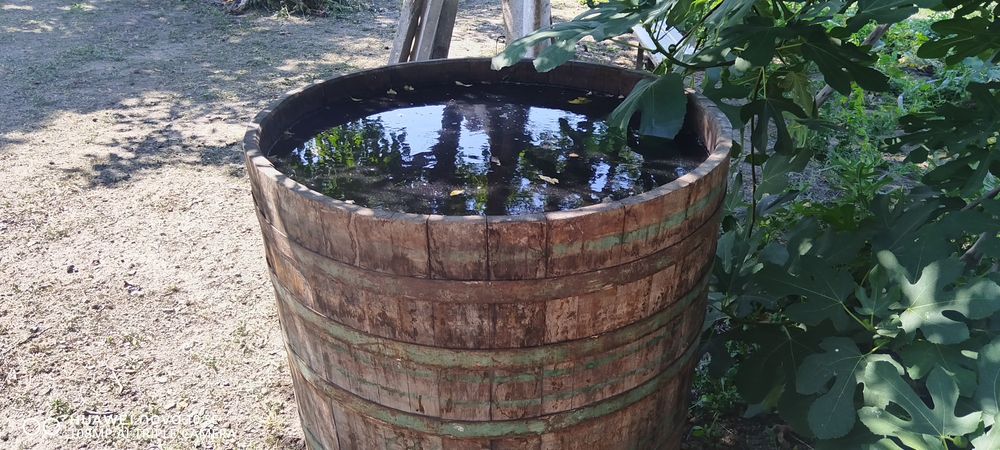 Каца за Вино 600л.