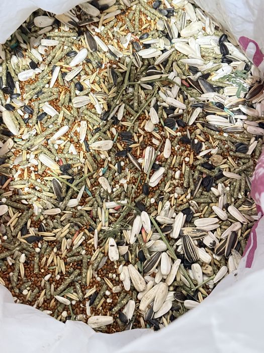 Клетка, Вольер для грызунов.Большая (1м/80см) с крышкой и сеткой+корма