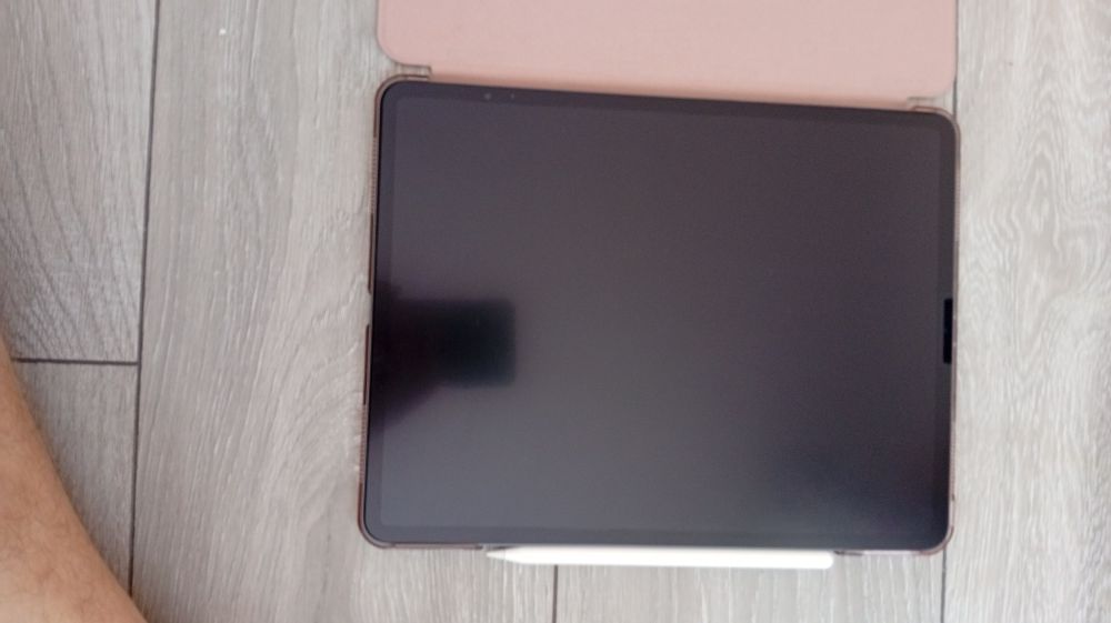 Ipad pro 12.9 4th gen Space grey 256gb plus stilou