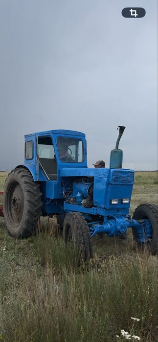 Трактор т40 продаю
