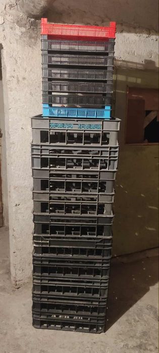 Каси за кисело мляко и плодове