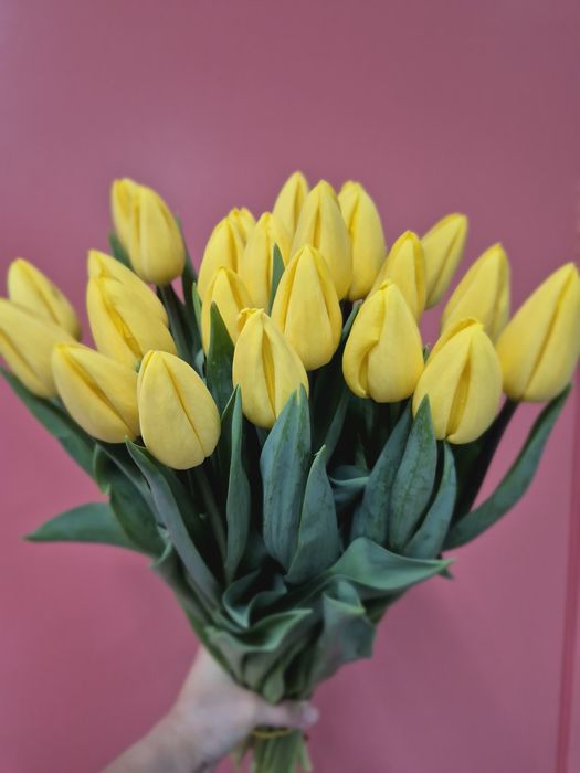 Тюльпаны Актобе!