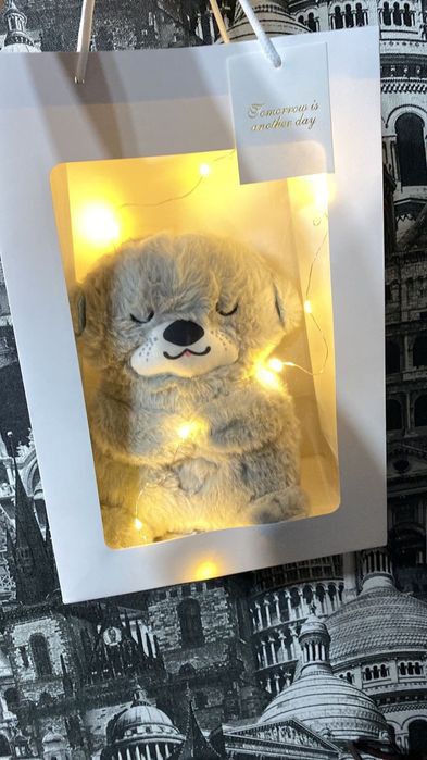 Мика оформление есть