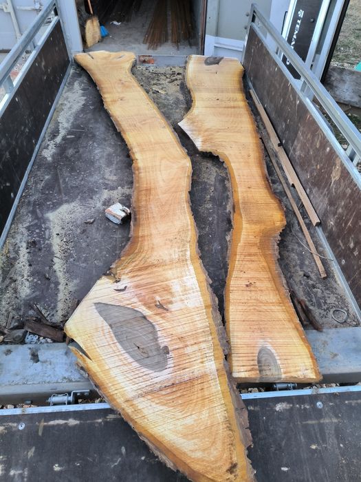 Орех разбичен на янове