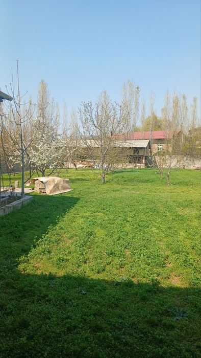 участка сотилади зангиота  тумани   10 сотик  8 хона