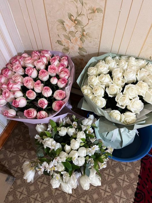 Ақсукент арзан бағада цветы