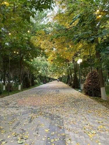 Продается просторная квартира в центре. Ц13 Лабзак