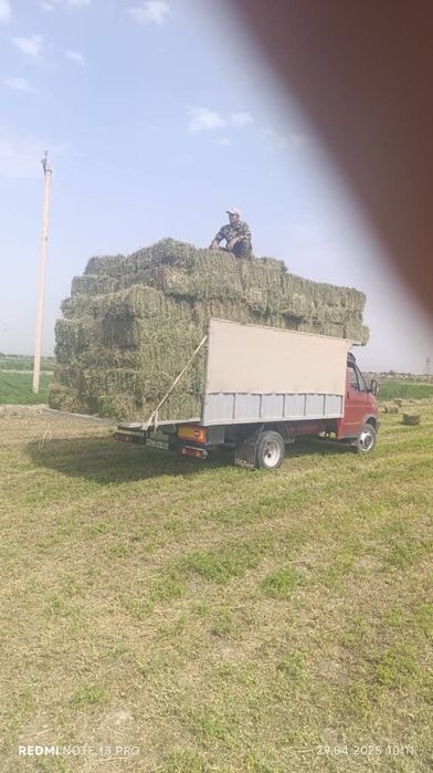 Газель сотилади холати яхши