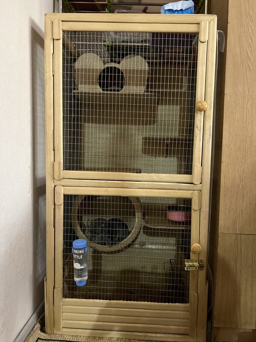 Шиншиллы с клеткой