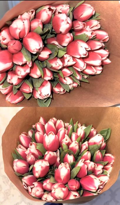 Продам тюльпаны.