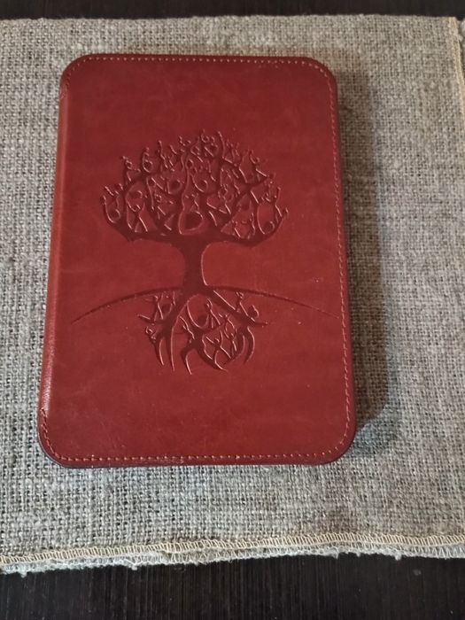 электронную книгу ONYX BOOX Darwin X