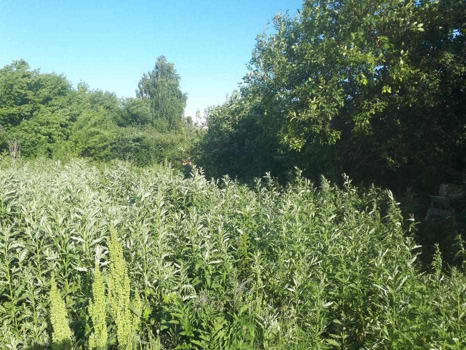 Продам дачу, с/т Буревестник 2