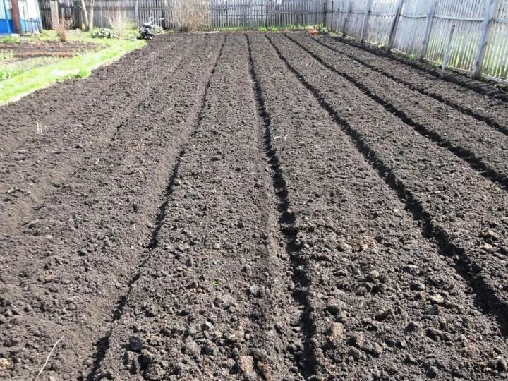 Вспашка земли-культивация