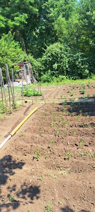 Почистване и дезинфекция на кладенци, герани, бунари