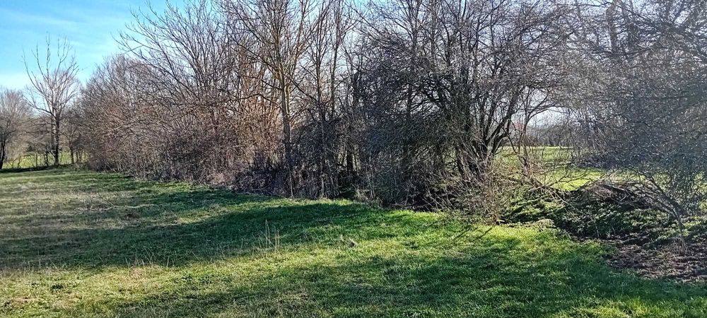 Продава се Парцел в Варна, Базар Левски - 1380 кв.м за 6 €/кв.м - Снимка #3