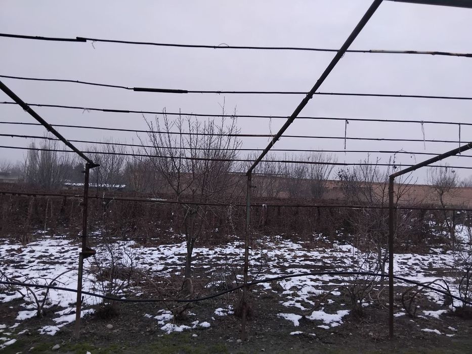 Yer uchaska sotiladi