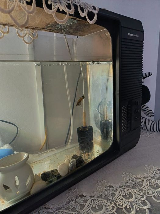 Acvariu retro,  antic