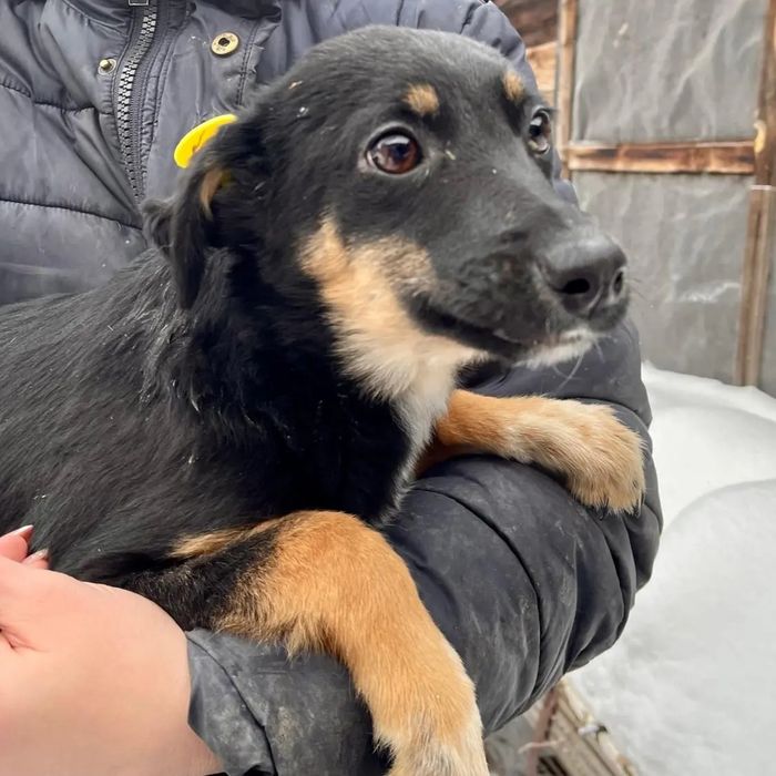 Возьми меня к себе