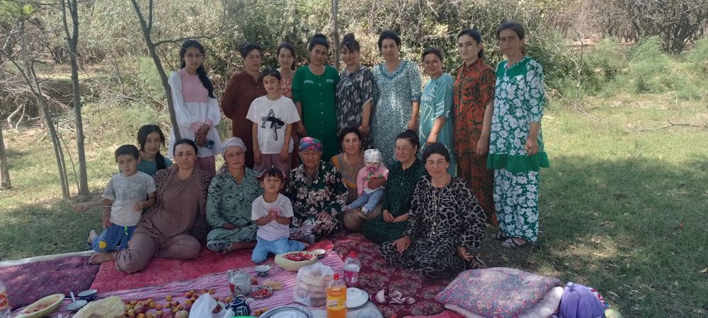 Xandon pista ko'chatlari