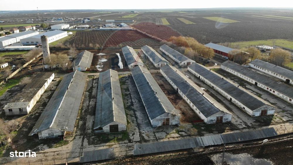 Hale 16 mii mp cu 9 ha teren intravilan