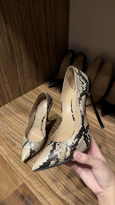 CASADEI туфли из питона