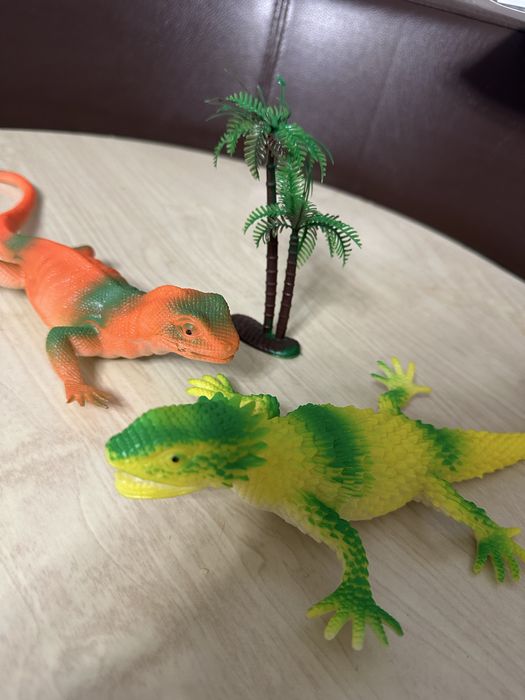 2 дау кесиртке сатылады