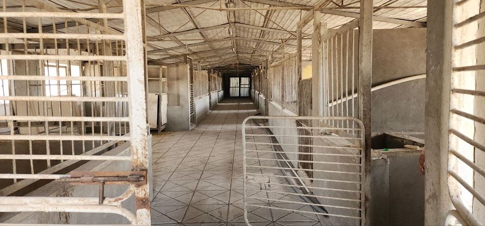 Ферма Ferma готовый бизнес в Ташкенте