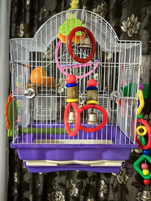 Клетка для попугая