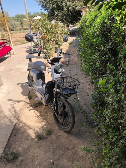 ррррррррррррррррррр