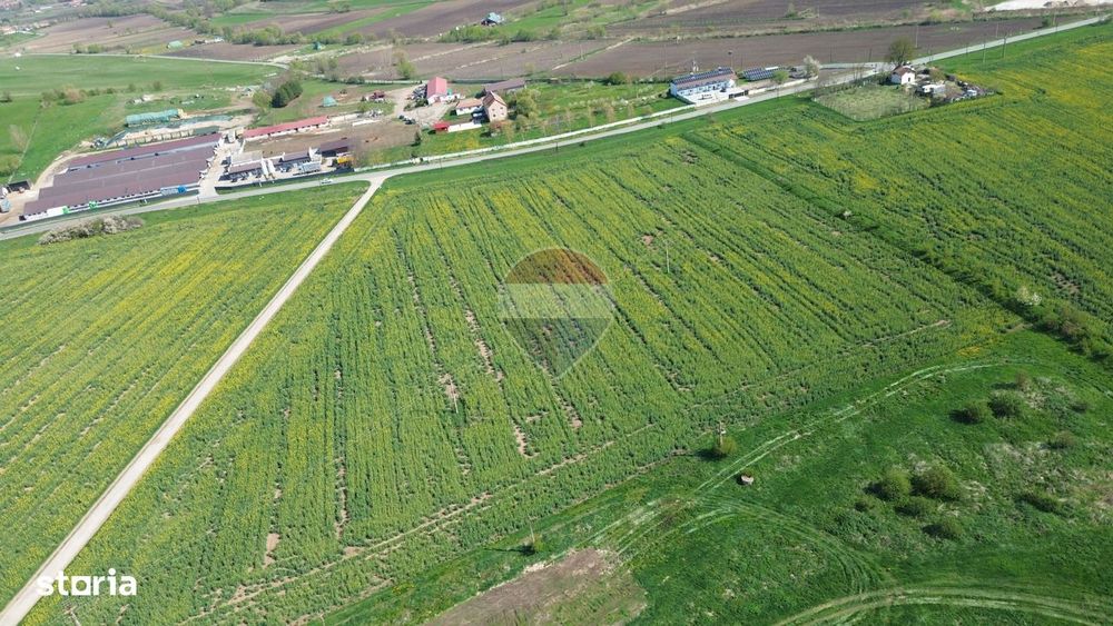 Teren de vanzare sau inchiriat 19ha intravilan, Agnita,Sibiu