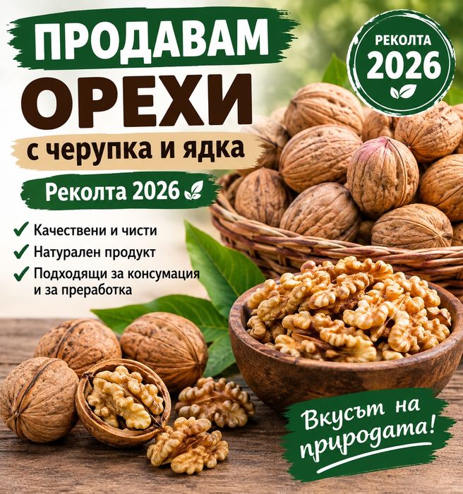 Орехи реколта 2026 български сортове