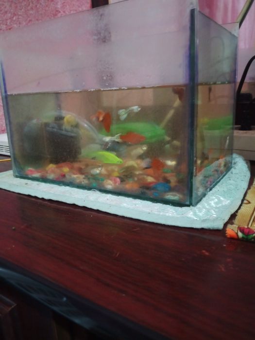 Аквариум 2та сотилади