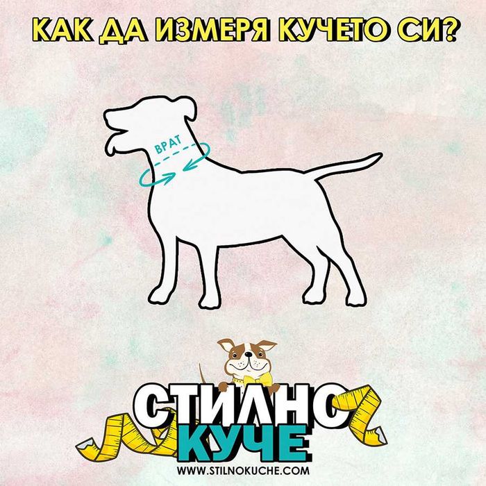 Нагръдник/Нашийник/Повод за куче в неоново-цикламен цвят