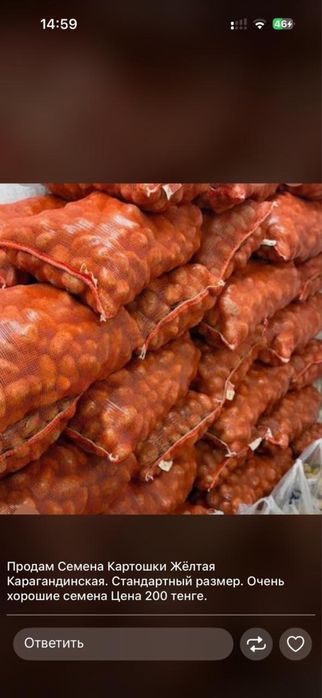 Семена картошки домашнее