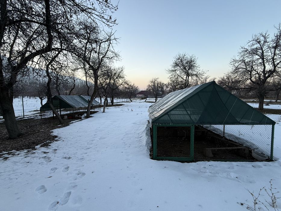 Вольер универсальный, клетка, курятник