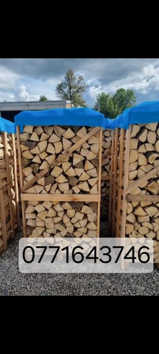Lemne de foc fag esență tare la palet